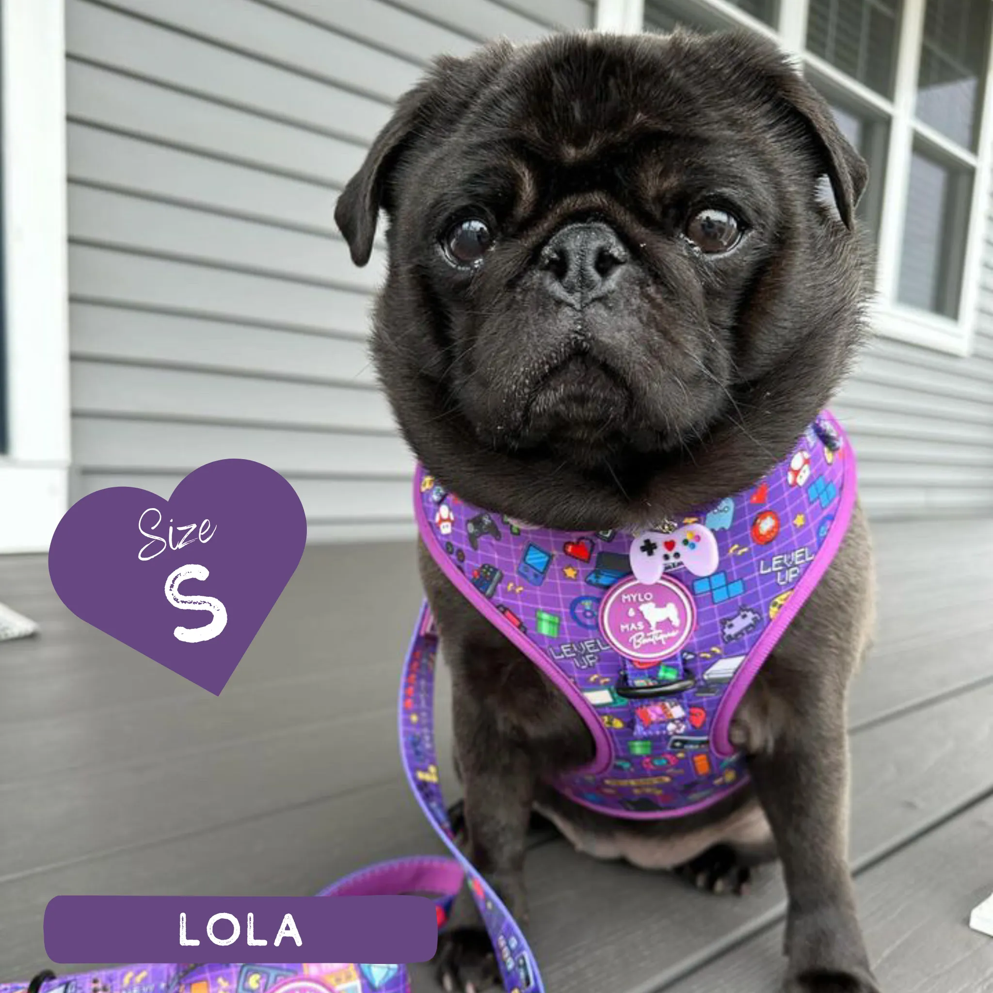 Dog Adjustable Harness - Level Pup