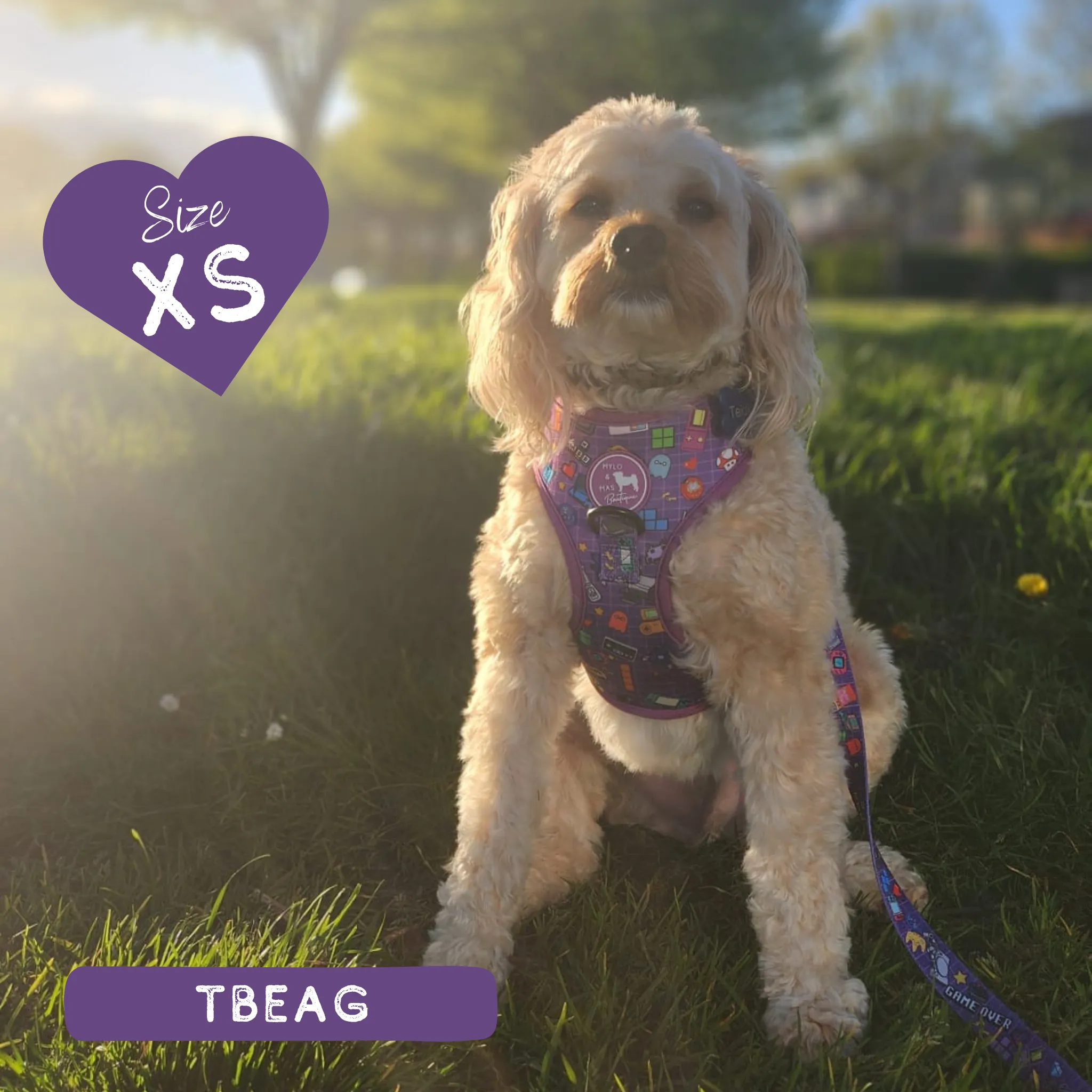 Dog Adjustable Harness - Level Pup