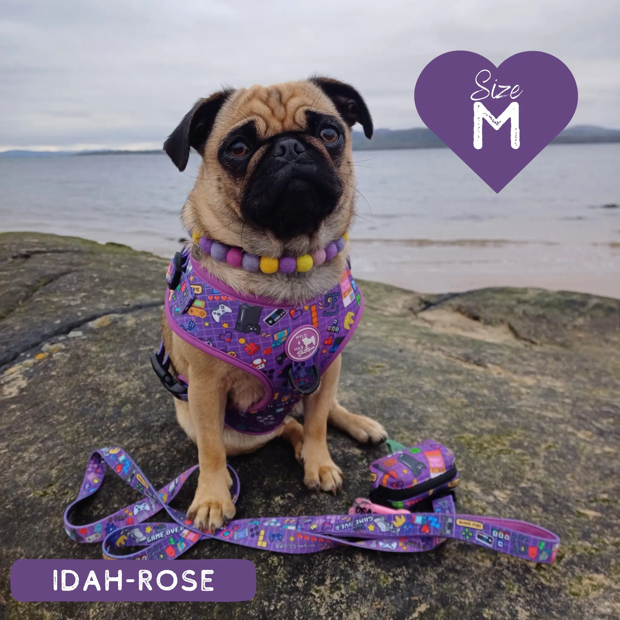 Dog Adjustable Harness - Level Pup