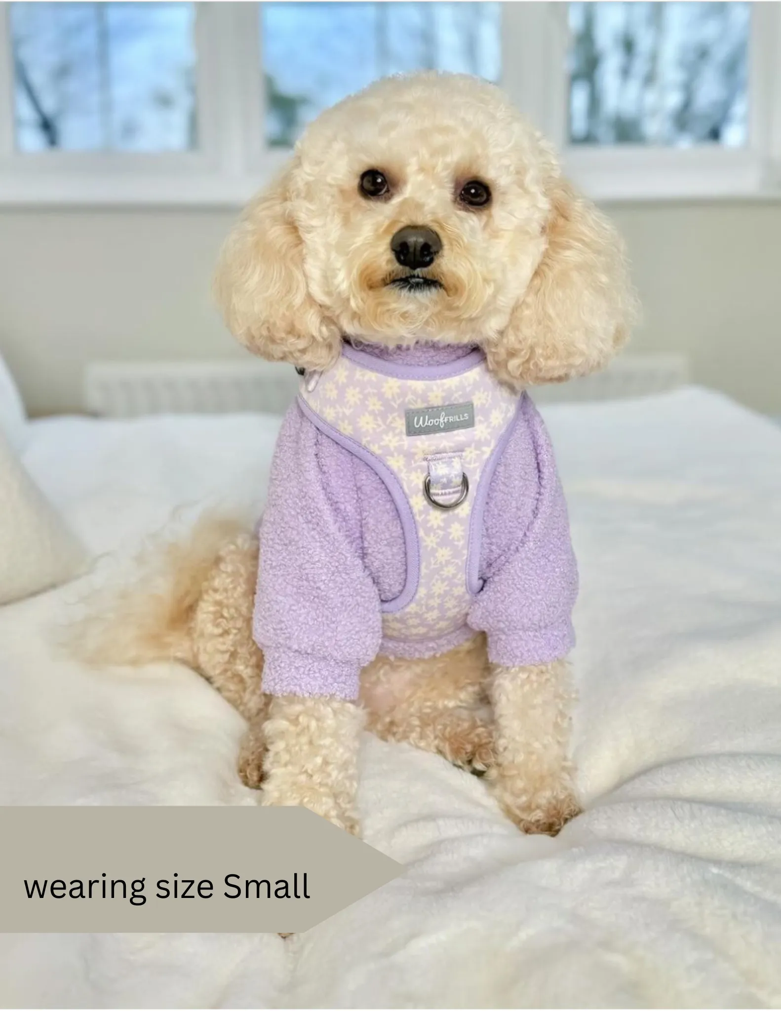 Dog Harness | Bloom me away lilac
