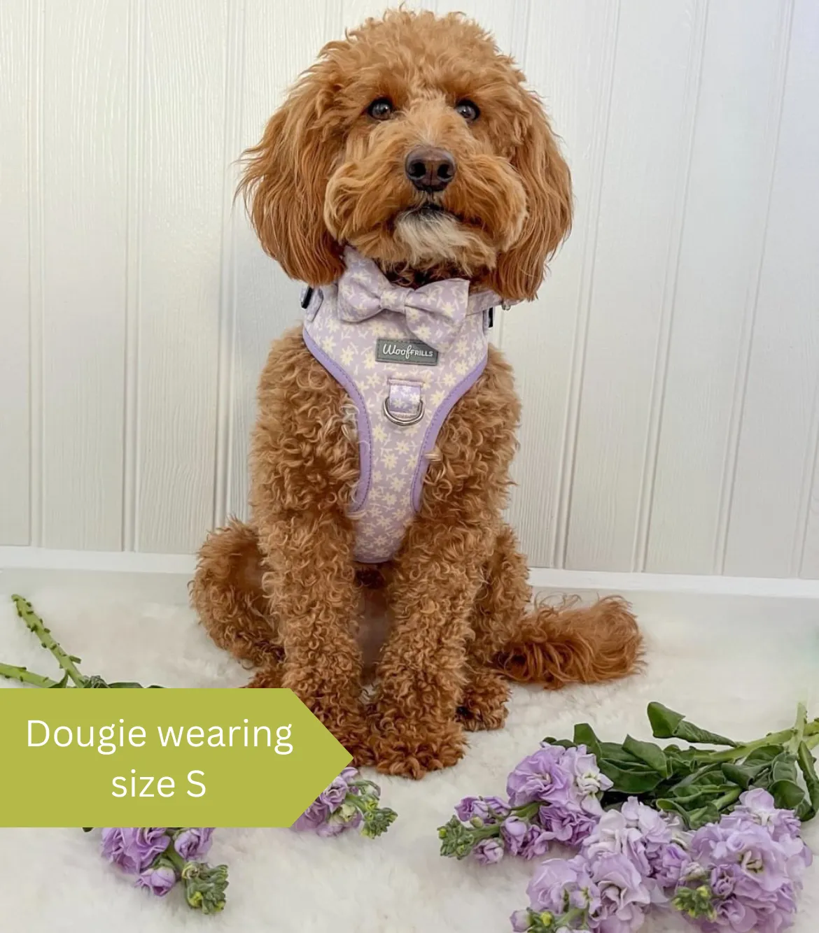 Dog Harness | Bloom me away lilac
