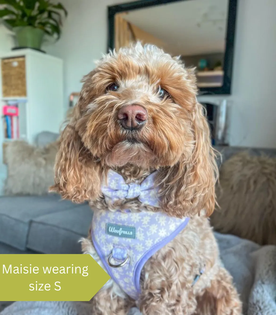 Dog Harness | Bloom me away lilac