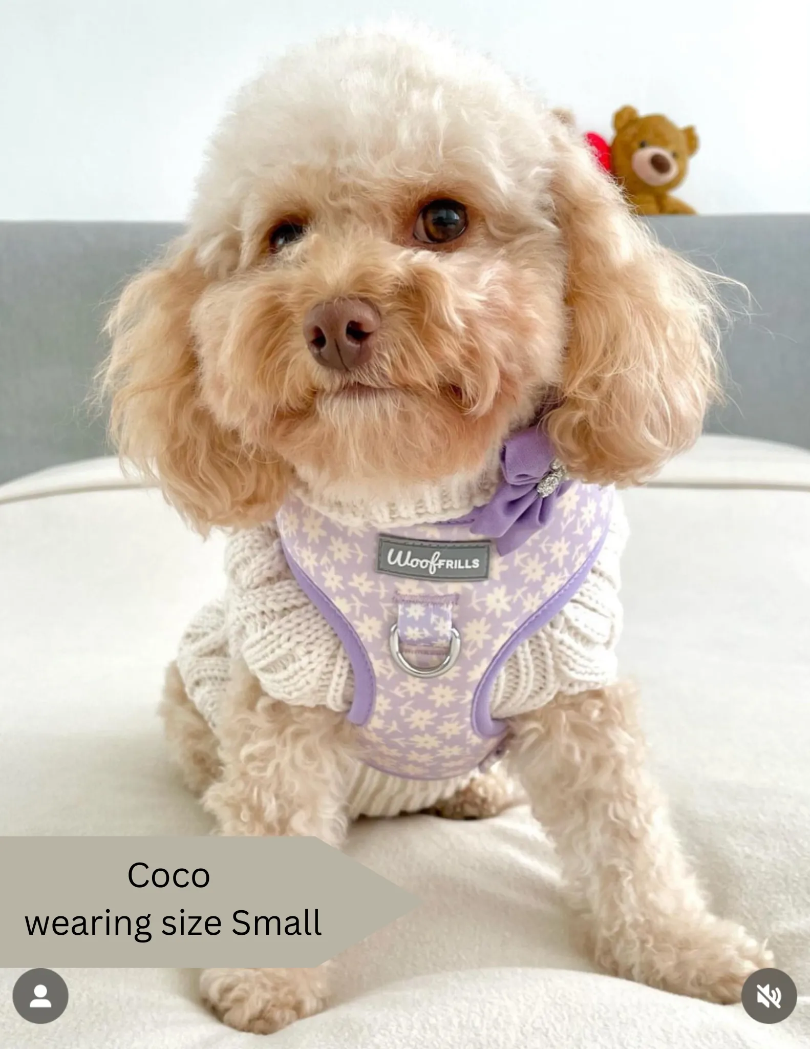 Dog Harness | Bloom me away lilac
