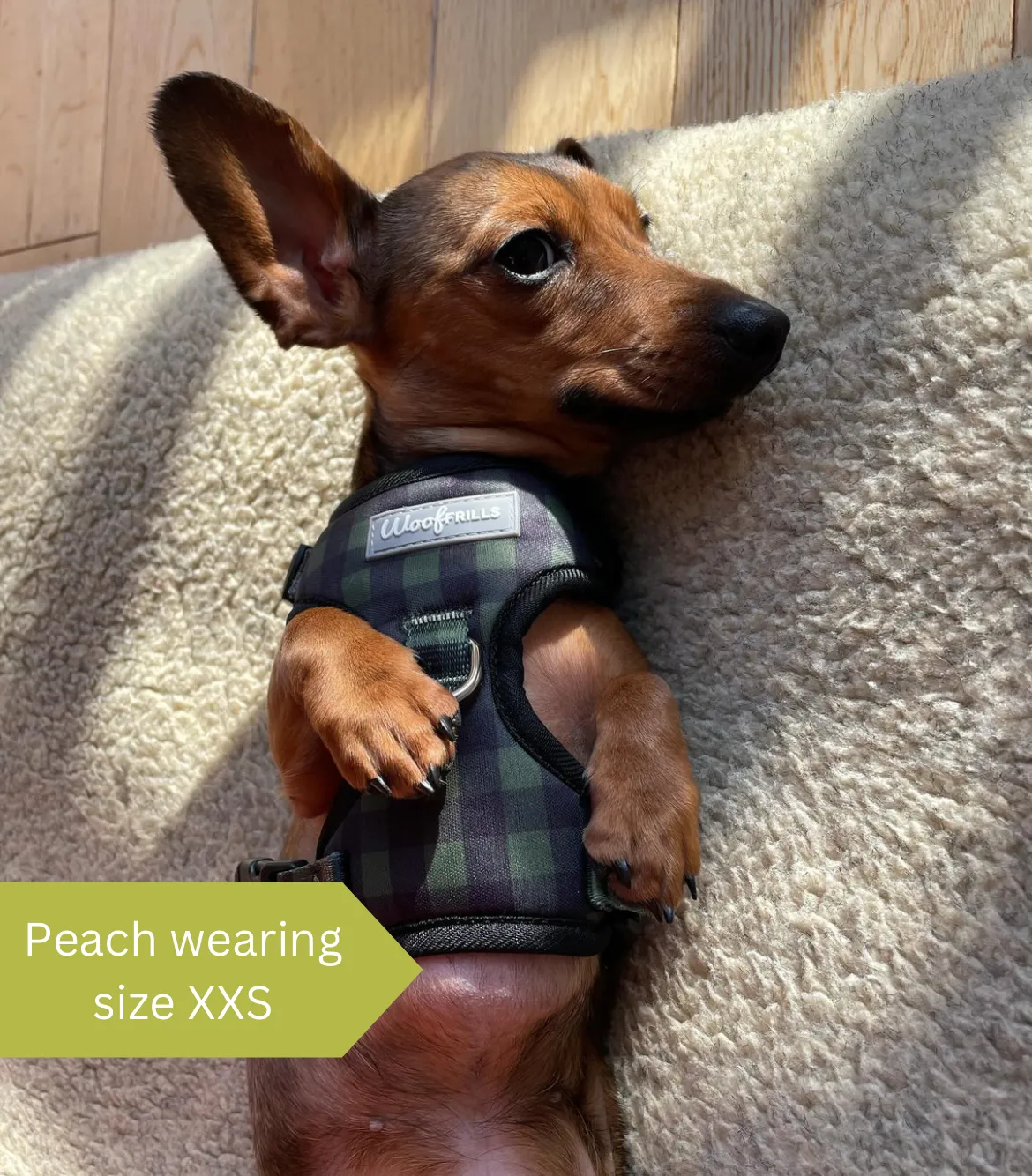 Dog Harness | Pupster Plaid
