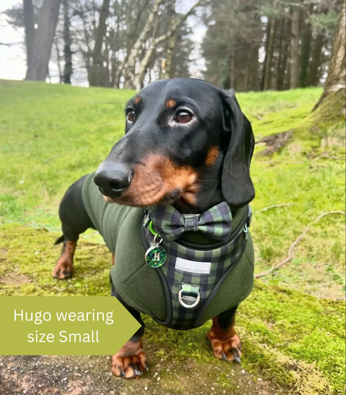 Dog Harness | Pupster Plaid
