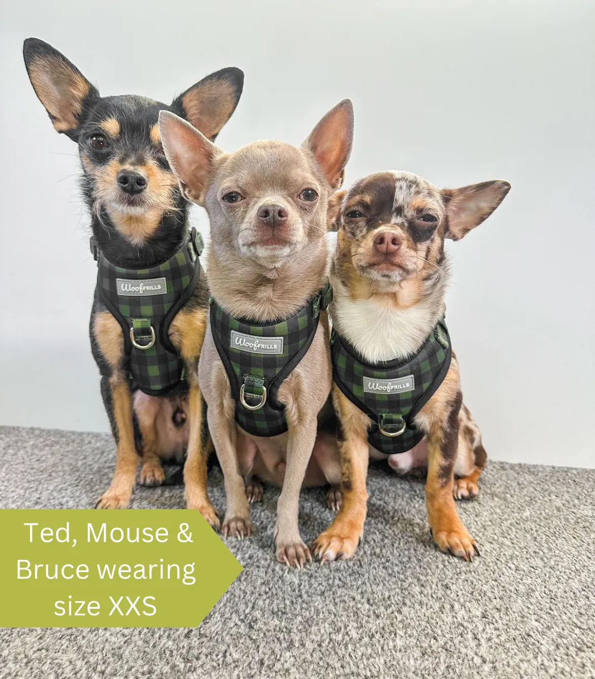 Dog Harness | Pupster Plaid