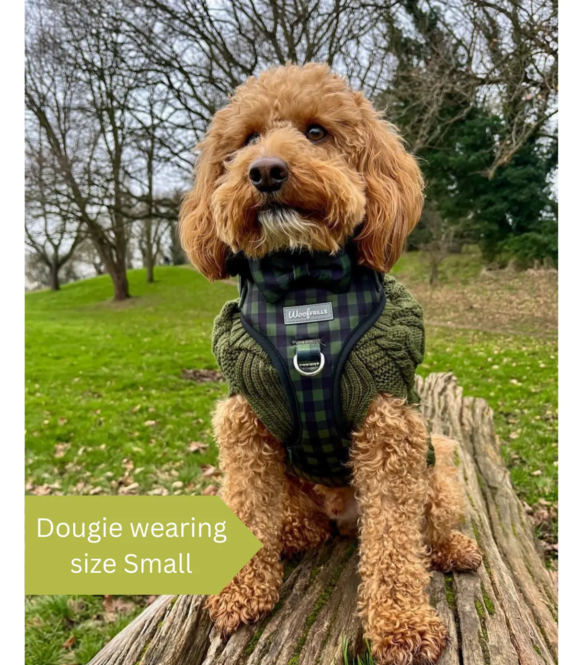 Dog Harness | Pupster Plaid
