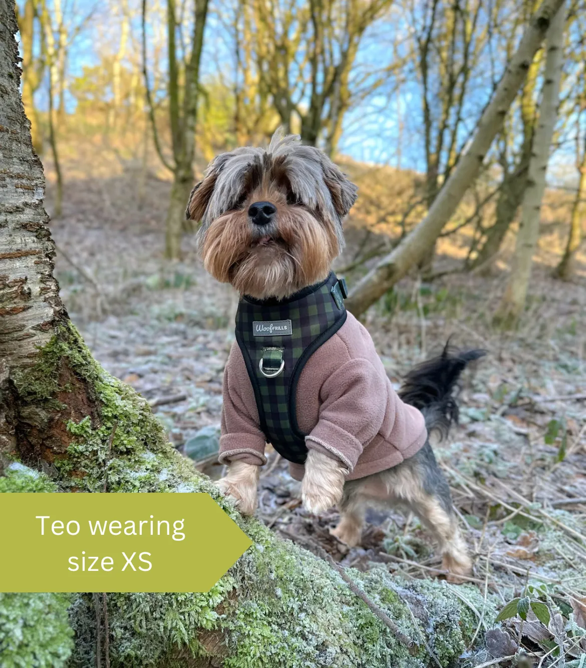 Dog Harness | Pupster Plaid