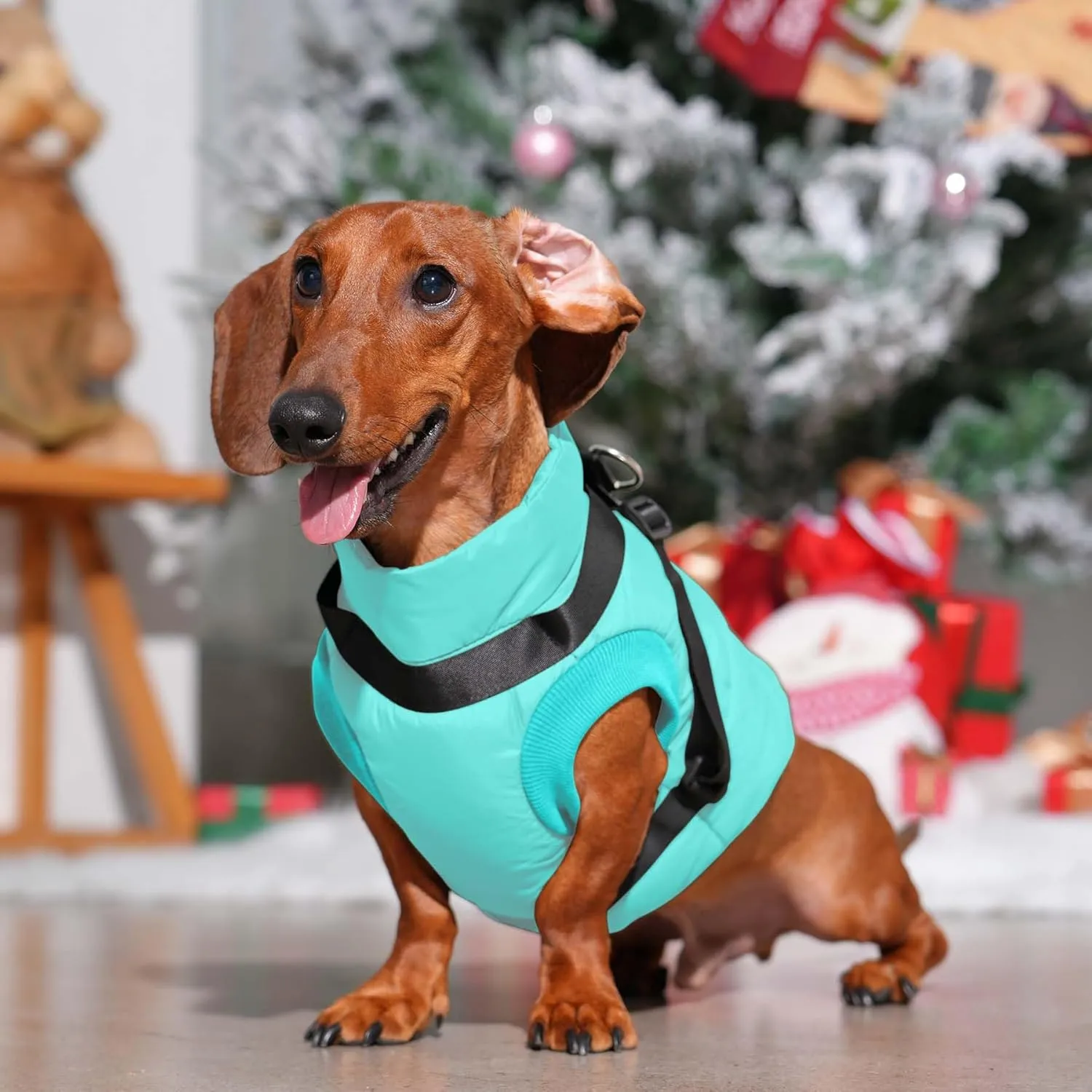 Dog Jacket with Harness,Fleece Lined Warm Puppy Coat for Winter,Soft Windproof Small Dog Vest,Bluegreen S