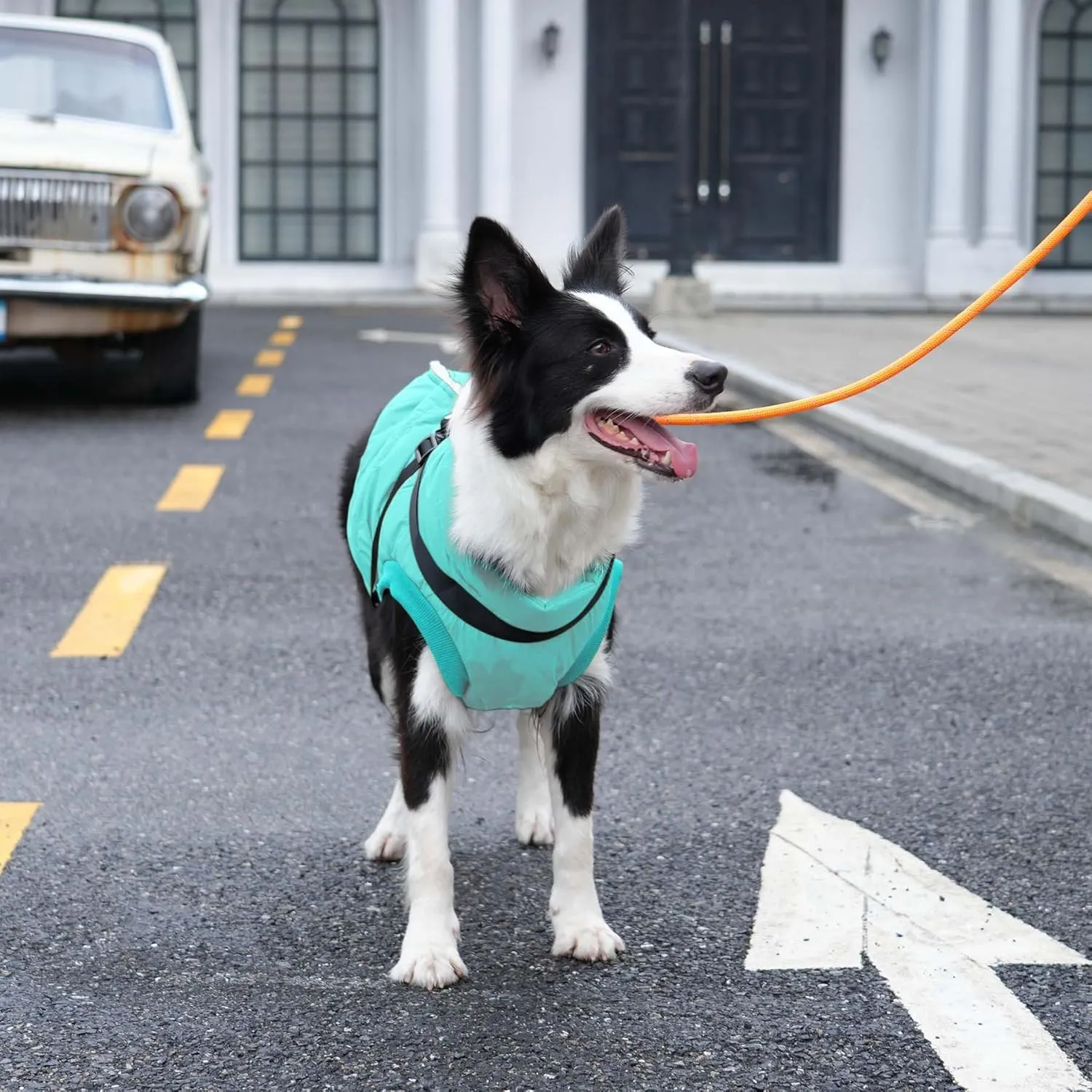 Dog Jacket with Harness,Fleece Lined Warm Puppy Coat for Winter,Soft Windproof Small Dog Vest,Bluegreen S