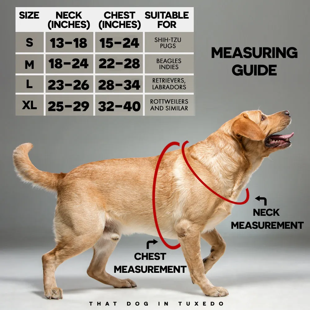 Easy Walk Step-In Name Harness - Yellow