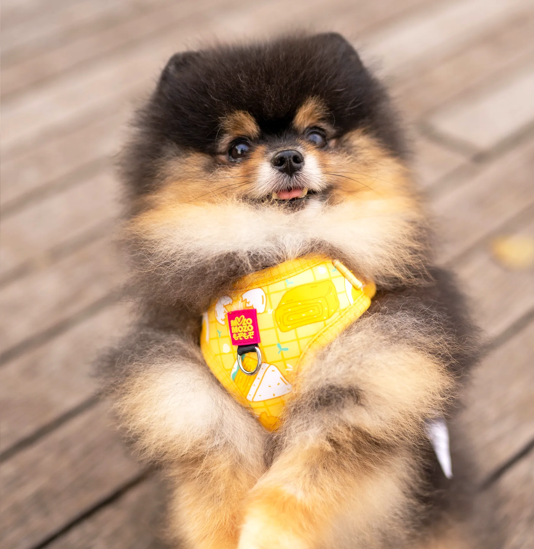 Egg-cellent adjustable harness