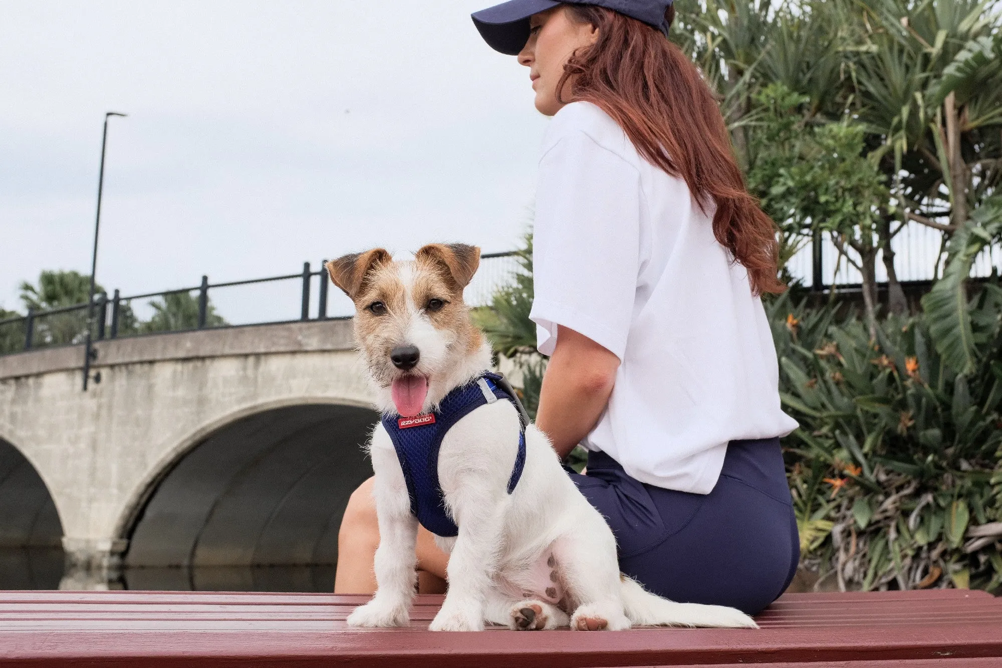 EzyDog FormFit Mesh Harness Purple