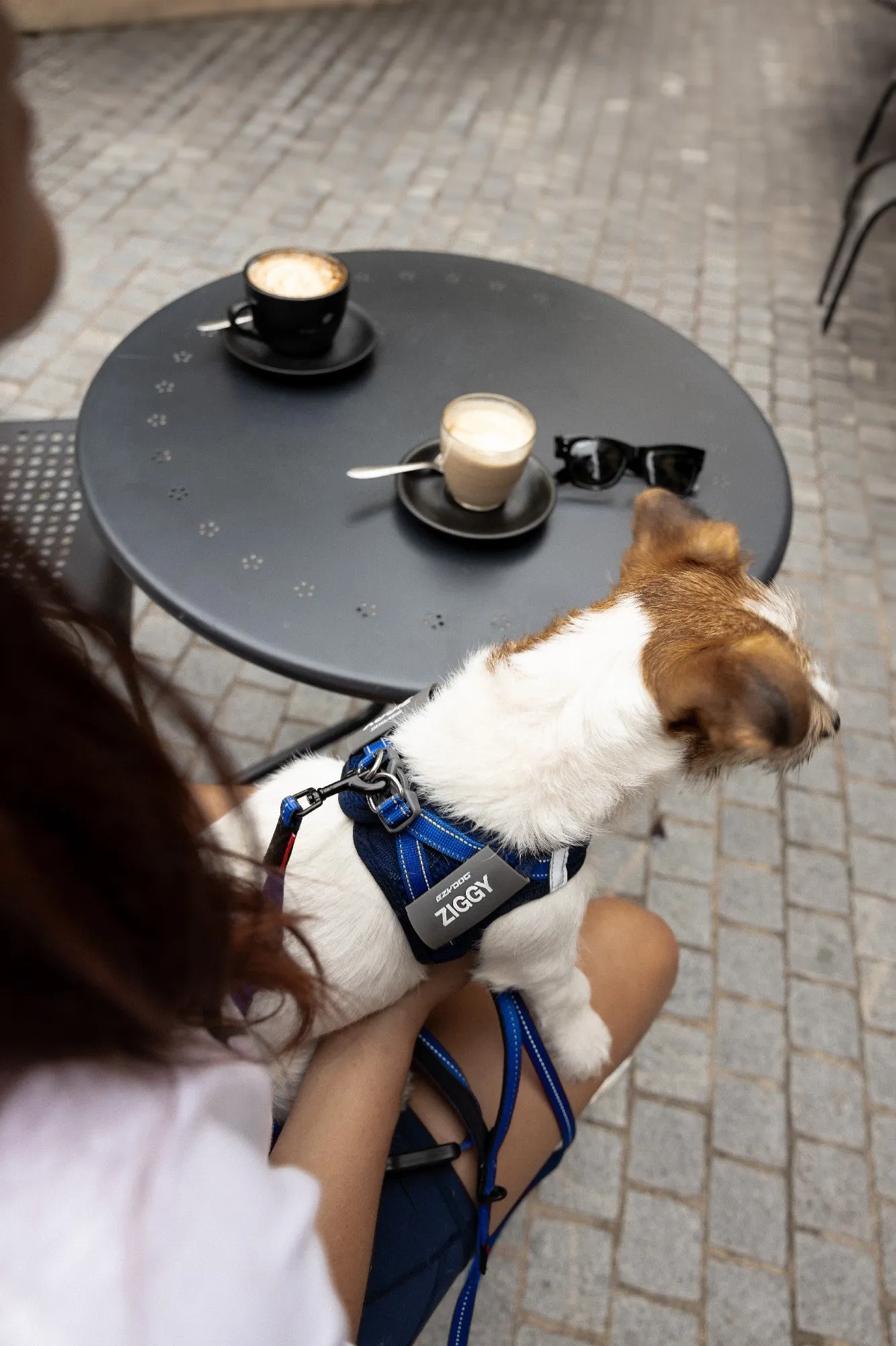 EzyDog FormFit Mesh Harness Purple