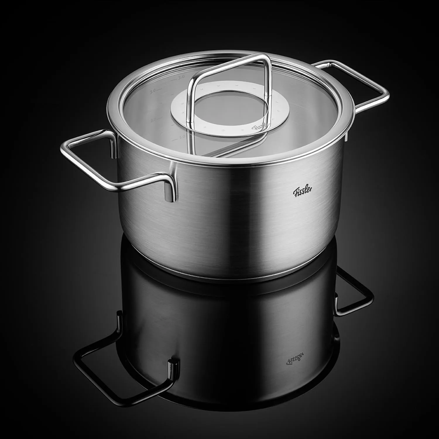 Fissler Pure Collection Stainless Steel 4.2 Quart Stock Pot with Glass Lid