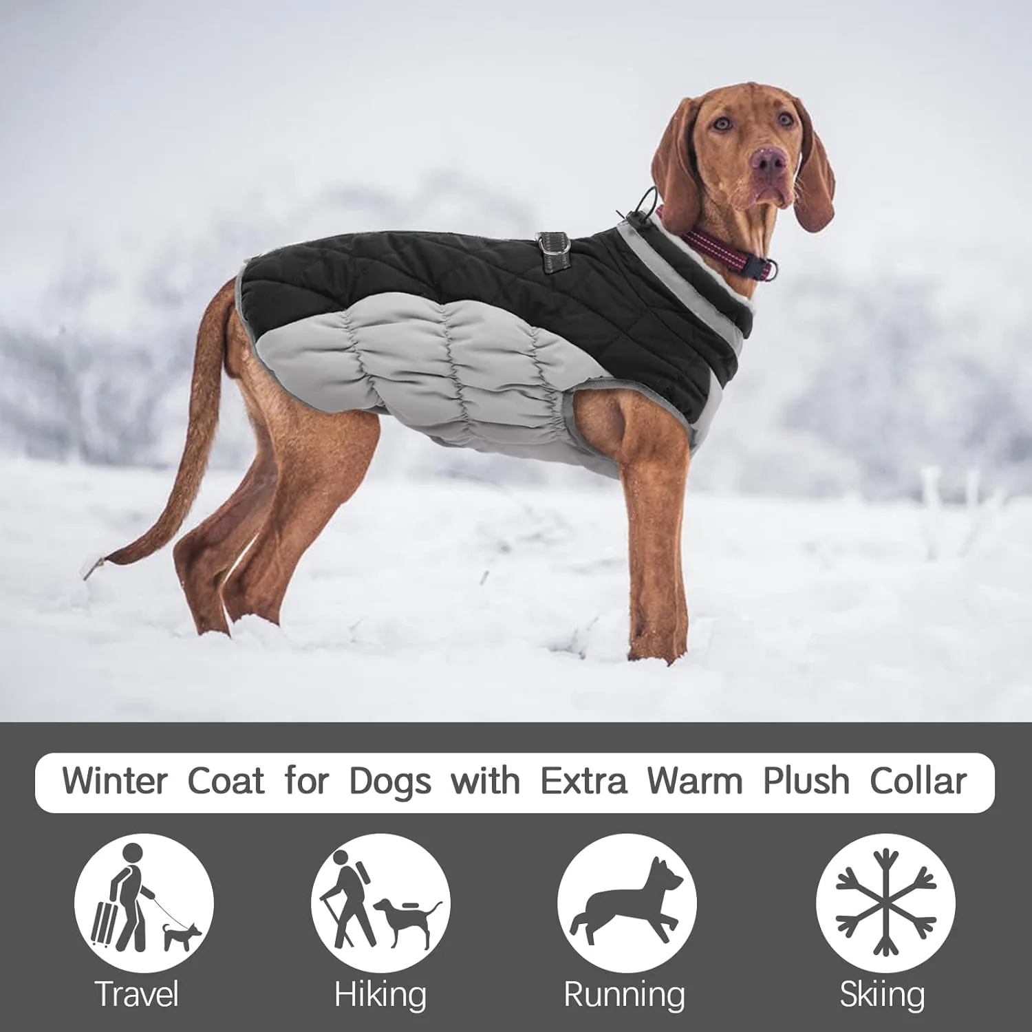 FUAMEY Warm Winter Dog Jacket with Built-in Harness, Waterproof Windproof Reflective Fleece Vest with Zipper for Medium Dogs - Black