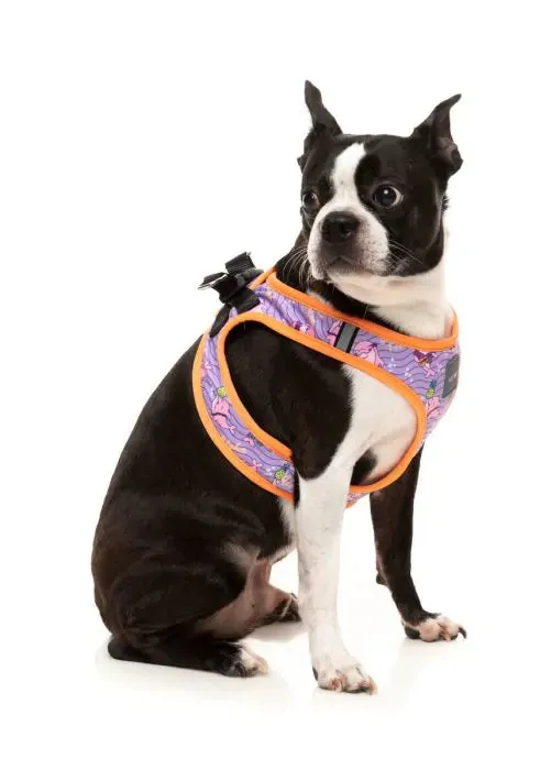 FUZZYARD Step In Harness