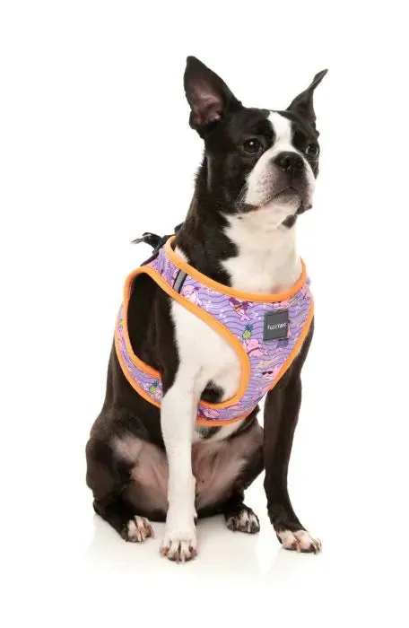 FUZZYARD Step In Harness