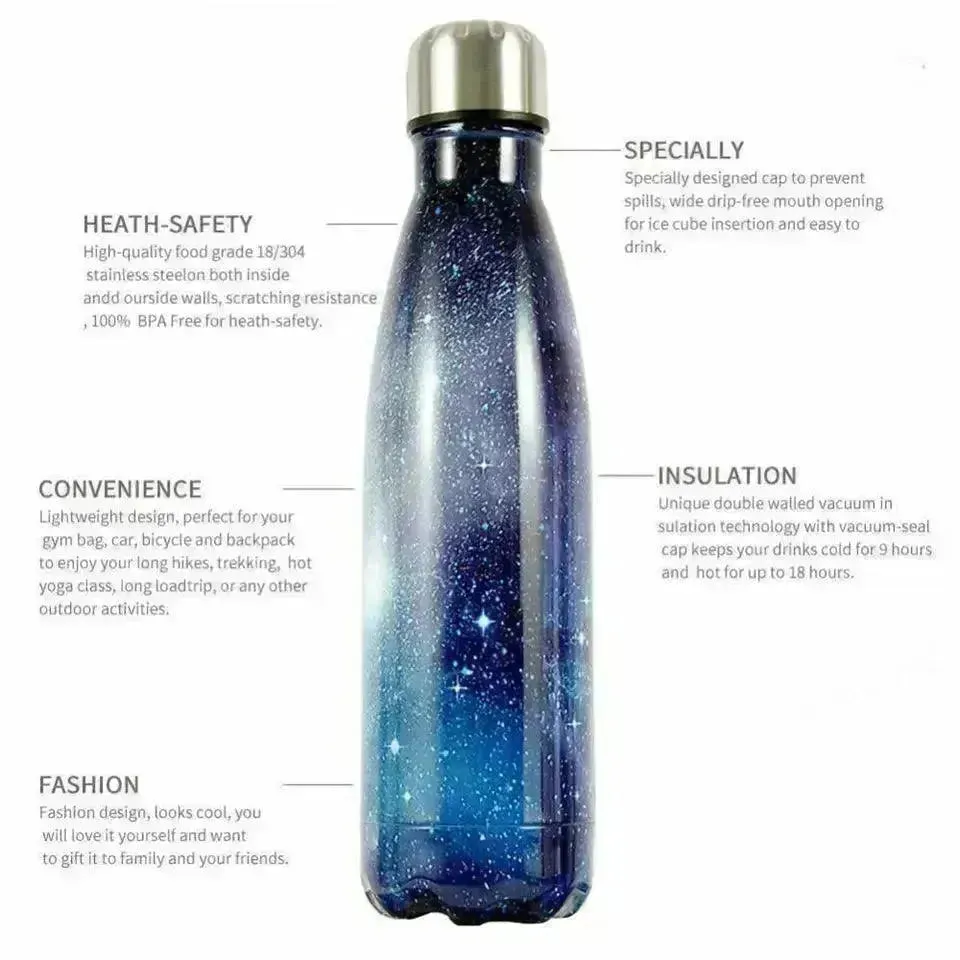 Galaxy Cola Metal Water Bottle (500 ml)