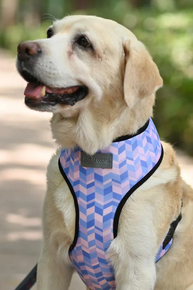 Geometrical Light Vest Harness