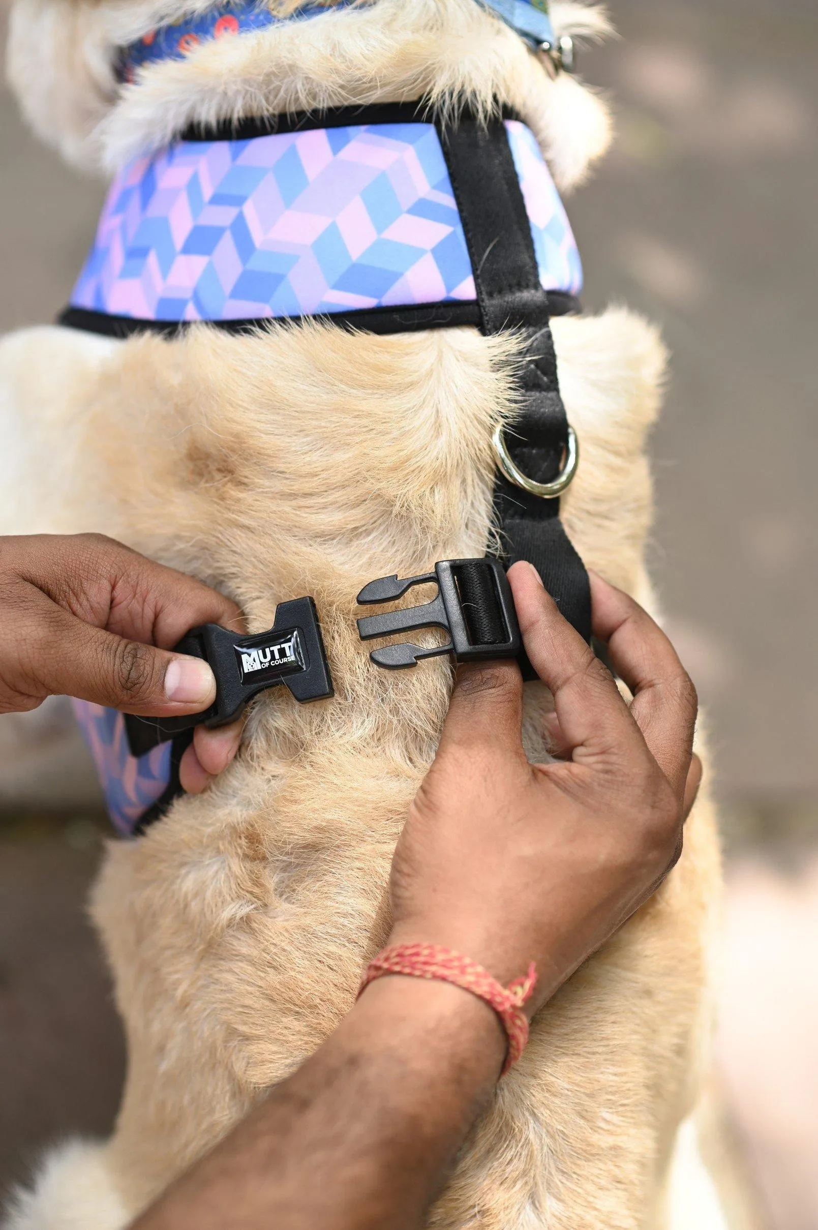 Geometrical Light Vest Harness