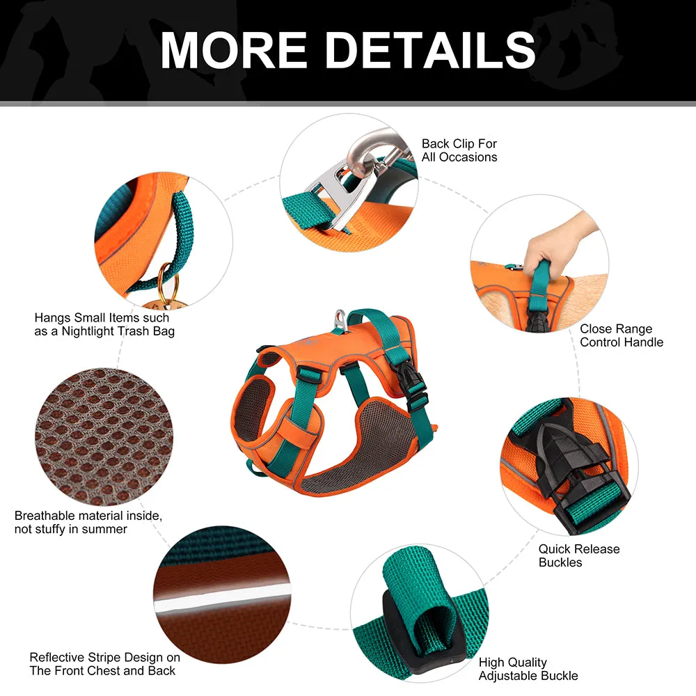 GlowSafe No Pull Frenchie Harness Reflective Training Vest