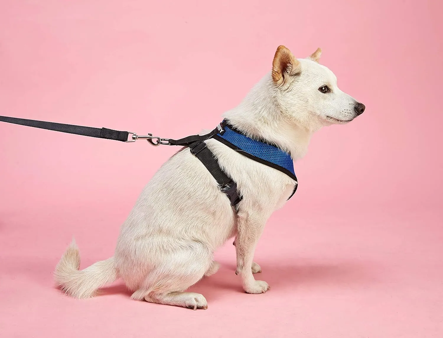 Gooby Comfort X Head In Harness - Pink, X-Large - No Pull Small Dog Harness Patented Choke-Free X Frame - Perfect on the Go Dog Harness for Medium Dogs No Pull or Small Dogs for Indoor and Outdoor Use