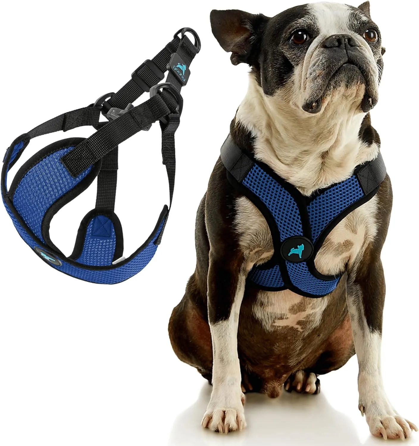 Gooby Comfort X Step in Lite Dog Harness - Choke Free, Escape Free with Light Breathable Mesh - Step in Dog Harness for Small and Medium Dogs - Quick Release Buckle, Metal D-Rings - Blue, Large