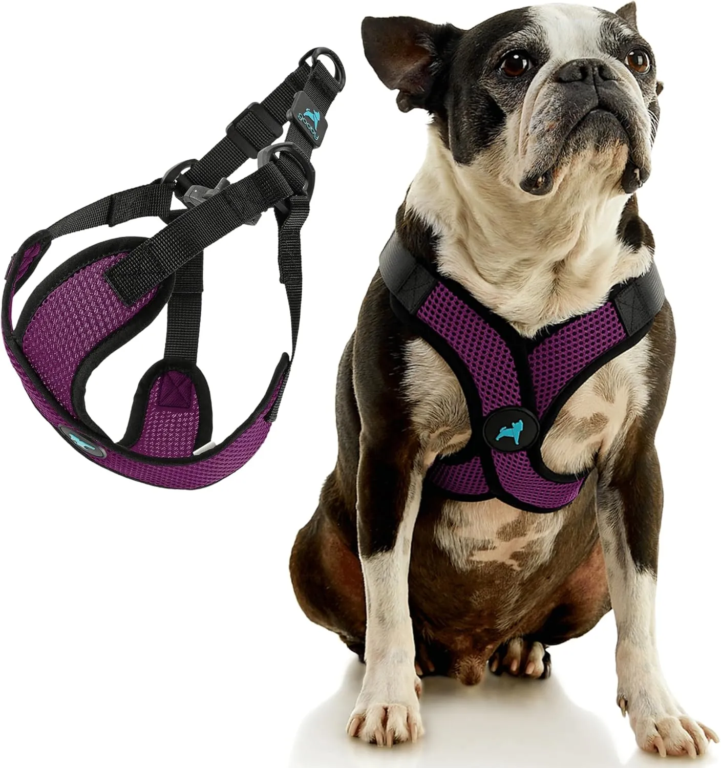 Gooby Comfort X Step in Lite Dog Harness - Choke Free, Escape Free with Light Breathable Mesh - Step in Dog Harness for Small and Medium Dogs - Quick Release Buckle, Metal D-Rings - Purple, Small