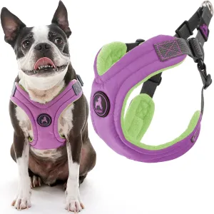 Gooby Escape Free Memory Foam Harness - Purple, Large - No Pull Step-in Small Dog Harness with Four Point Adjustment - Perfect on The Go Dog Harness for Medium Dogs No Pull and Small Dogs