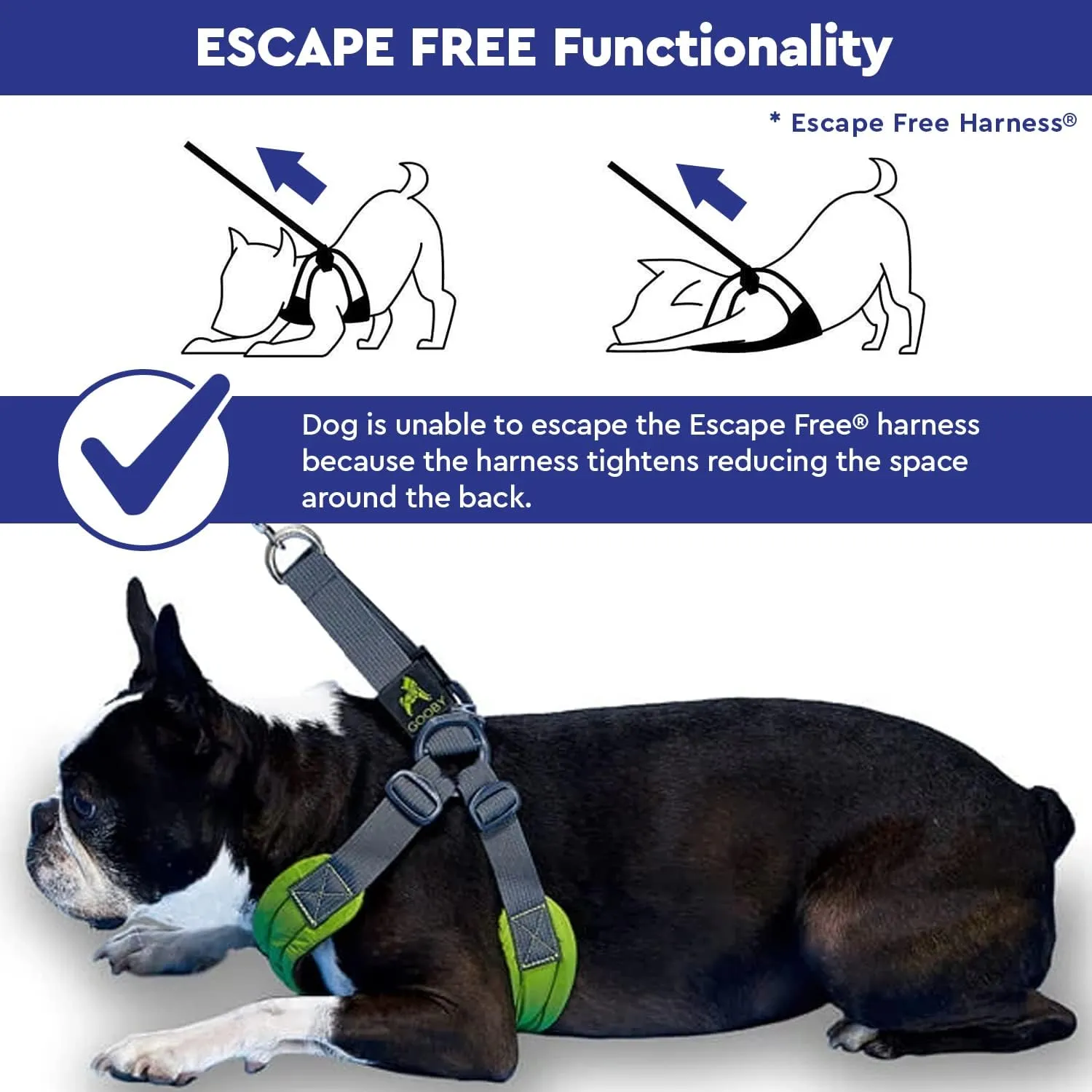 Gooby Escape Free Memory Foam Harness - Purple, Large - No Pull Step-in Small Dog Harness with Four Point Adjustment - Perfect on The Go Dog Harness for Medium Dogs No Pull and Small Dogs