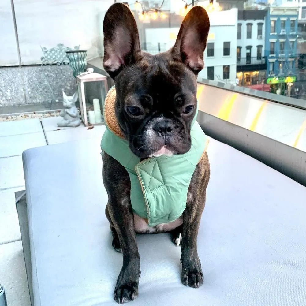 Gooby - Sports Vest, Fleece Lined Small Dog Cold Weather Jacket Coat Sweater with Reflective Lining, Green, Small