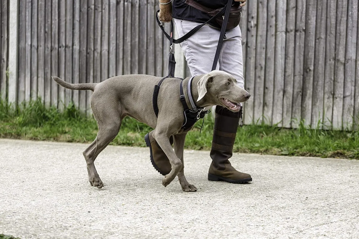 HALTI No Pull Harness - to Stop Your Dog Pulling on The Leash. Adjustable, Lightweight and Easy to Use. Reflective Dog Training Harness for Large Dogs (Size L),Black