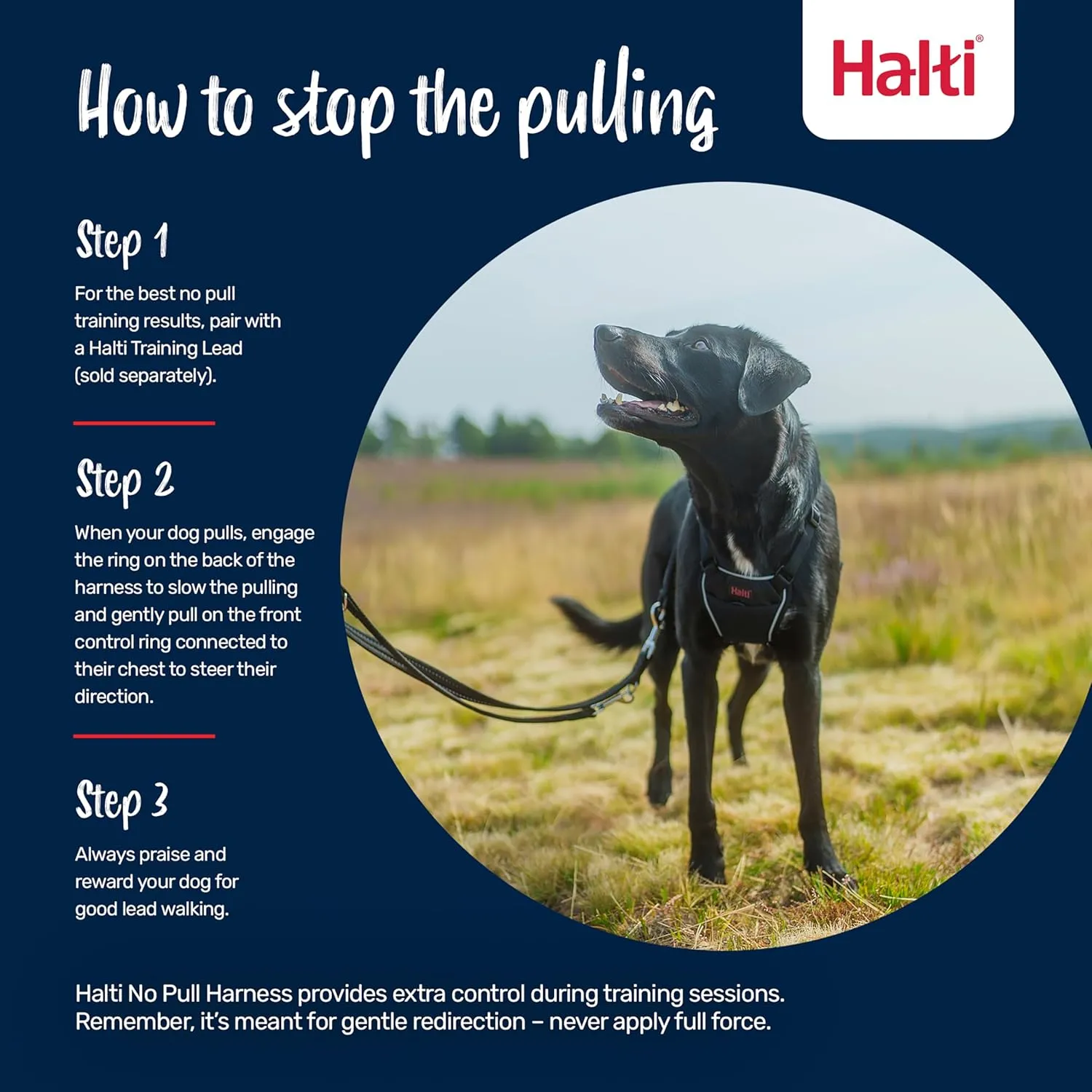 HALTI No Pull Harness - to Stop Your Dog Pulling on The Leash. Adjustable, Lightweight and Easy to Use. Reflective Dog Training Harness for Large Dogs (Size L),Black