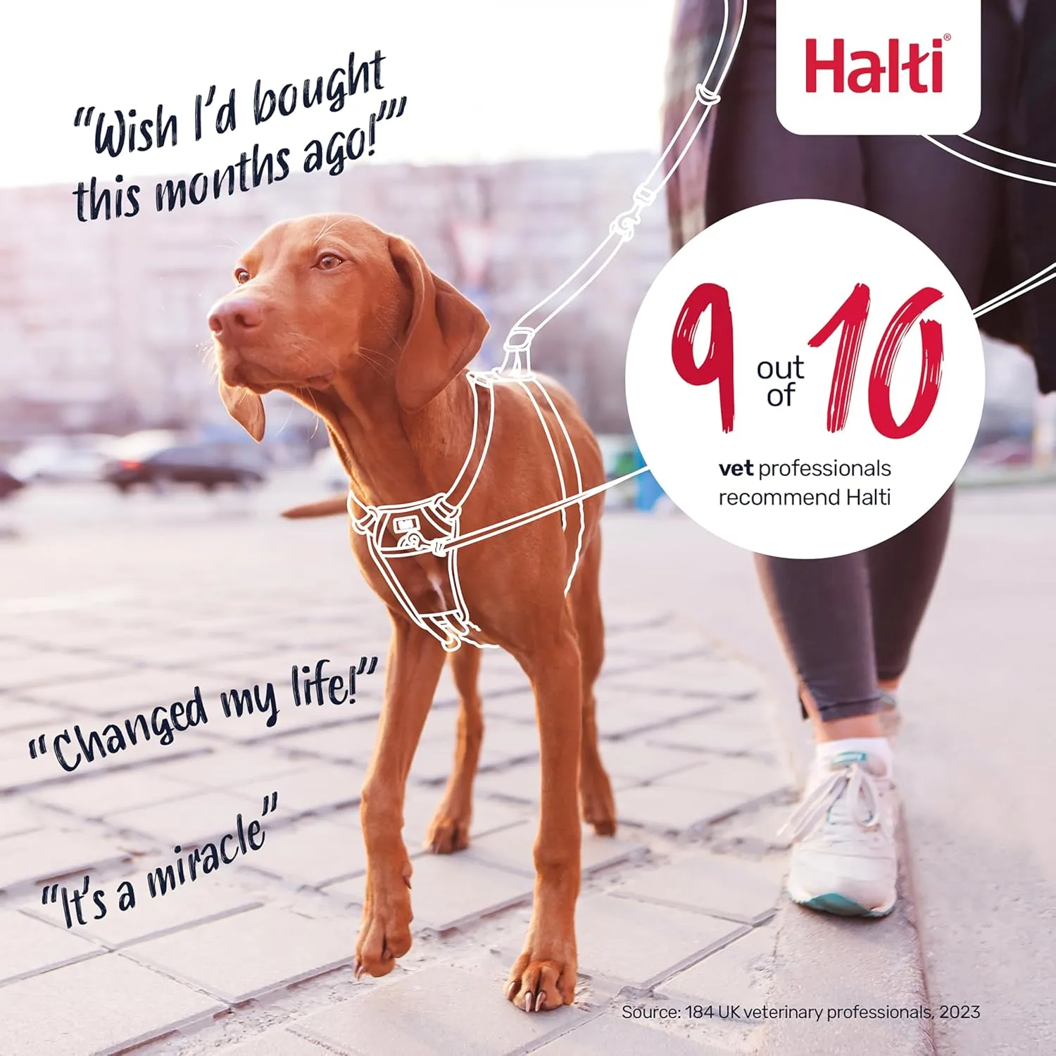 HALTI No Pull Harness - to Stop Your Dog Pulling on The Leash. Adjustable, Lightweight and Easy to Use. Reflective Dog Training Harness for Large Dogs (Size L),Black