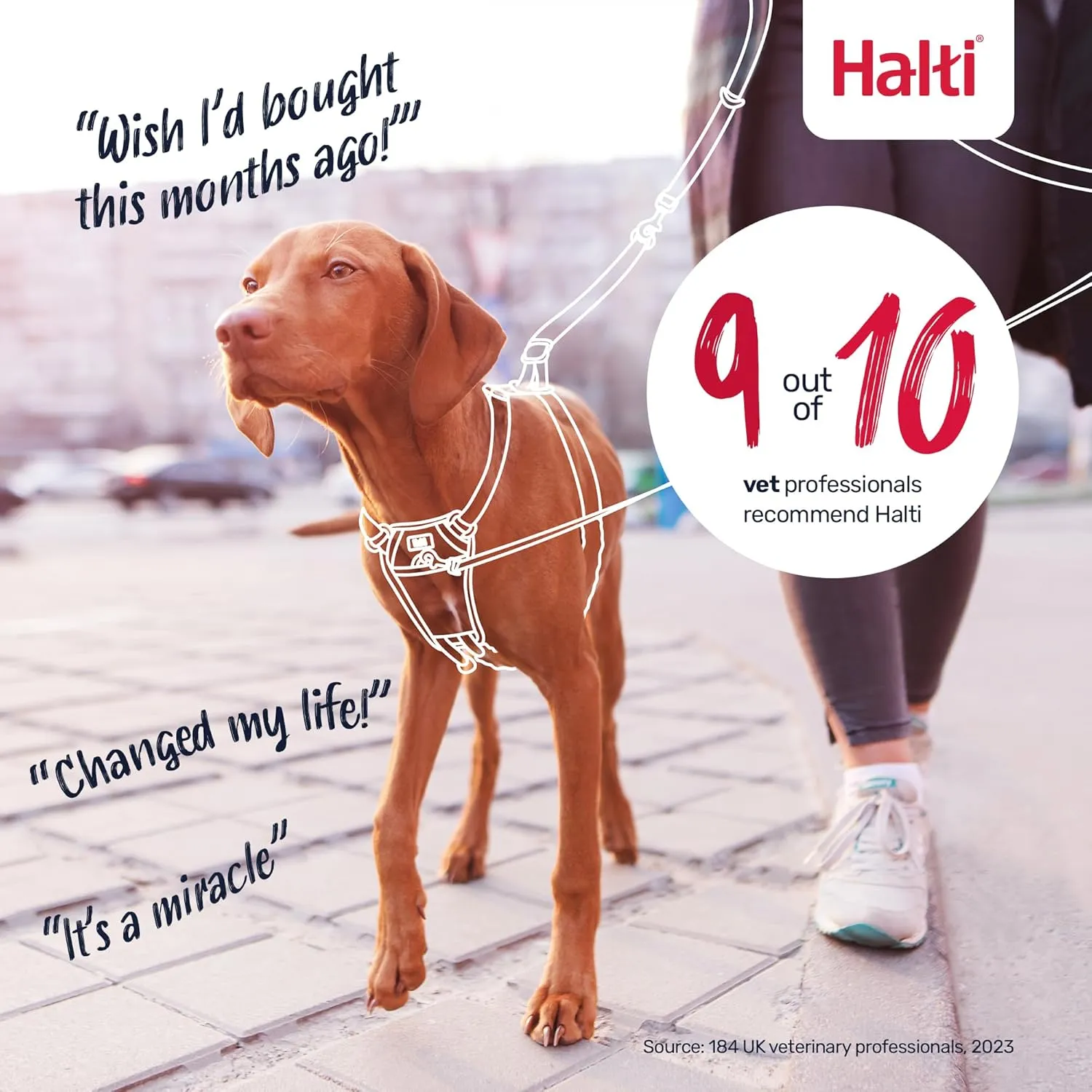 HALTI No Pull Harness - to Stop Your Dog Pulling on The Leash. Adjustable, Lightweight and Easy to Use. Reflective Dog Training Harness for Medium Dogs (Size M, Cobalt Blue)