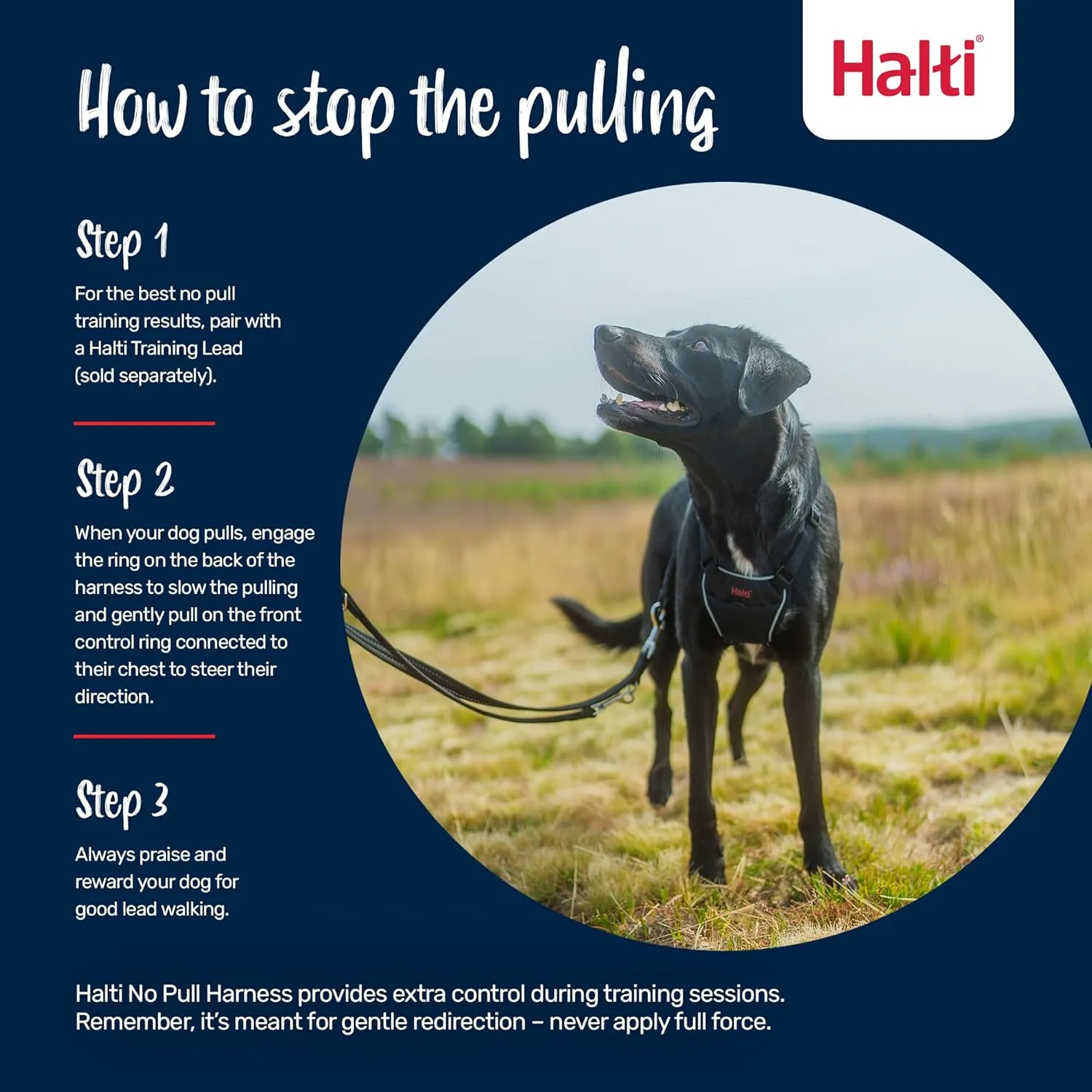 HALTI No Pull Harness - to Stop Your Dog Pulling on The Leash. Adjustable, Lightweight and Easy to Use. Reflective Dog Training Harness for Medium Dogs (Size M, Cobalt Blue)
