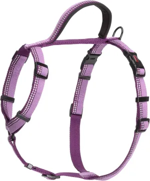 HALTI Walking Harness - Lightweight Dog Harness with Handle, Reflective & Adjustable, Ideal for Puppy Walks, Suitable for Large Dogs and Puppies (Size L, Purple)