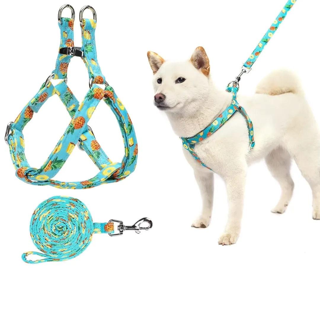 Harness and adjustable leash set for dogs