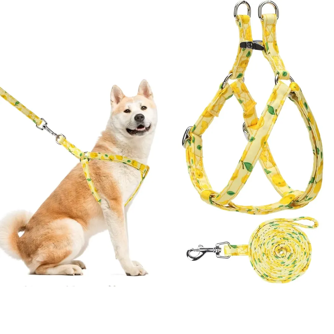 Harness and adjustable leash set for dogs