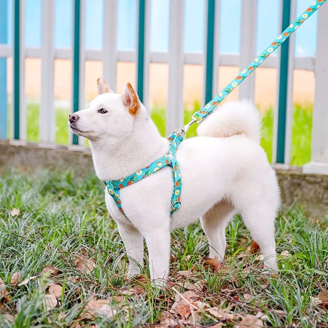 Harness and adjustable leash set for dogs