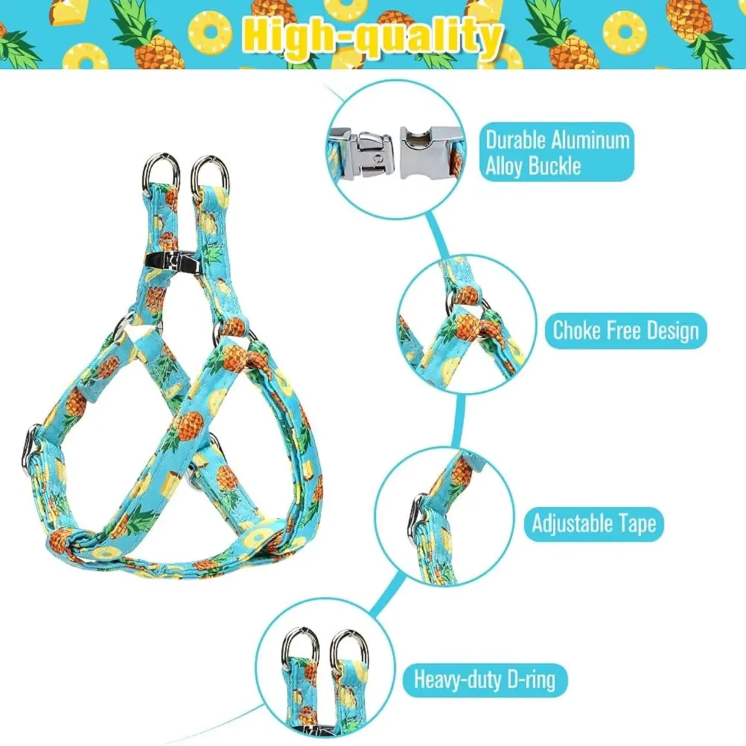 Harness and adjustable leash set for dogs