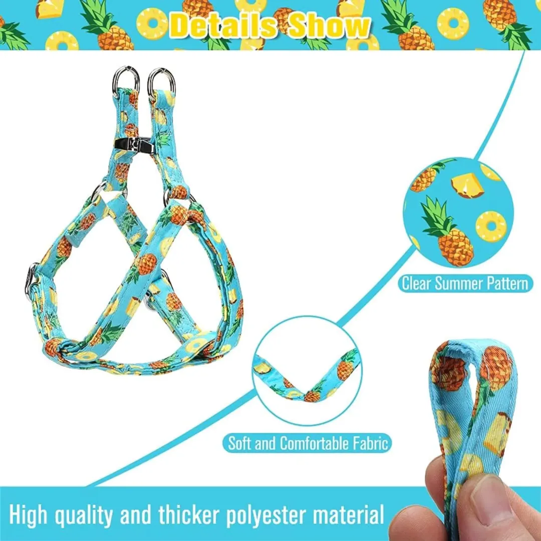 Harness and adjustable leash set for dogs