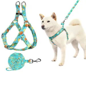 Harness and adjustable leash set for dogs