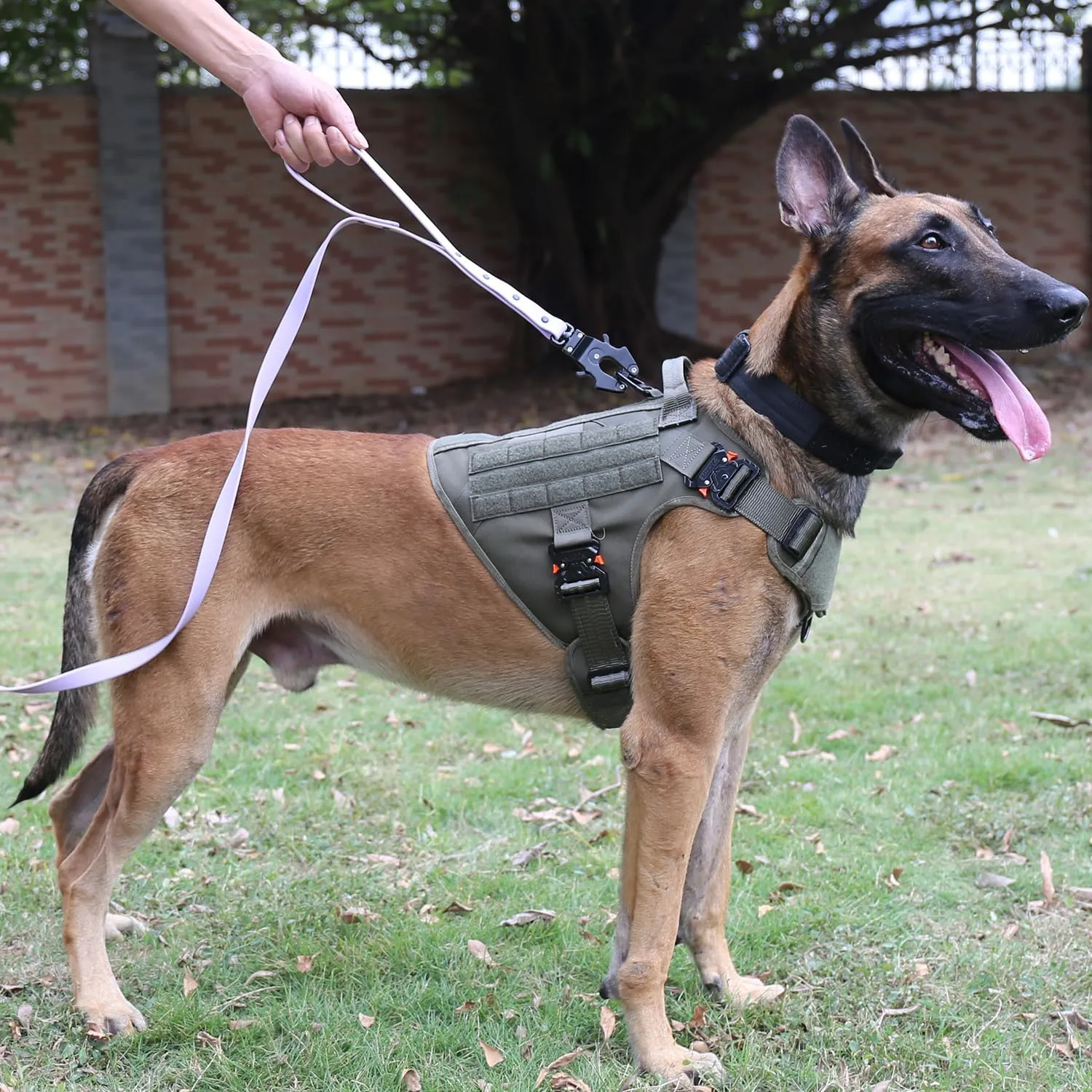 ICEFANG Tactical Dog Harness with 4X Metal Buckle,Working Dog MOLLE K9 Vest with Handle,No Pulling Front Clip,Adjustable Pet Harness for Large Dogs (L (28"-35" Chest), Green)