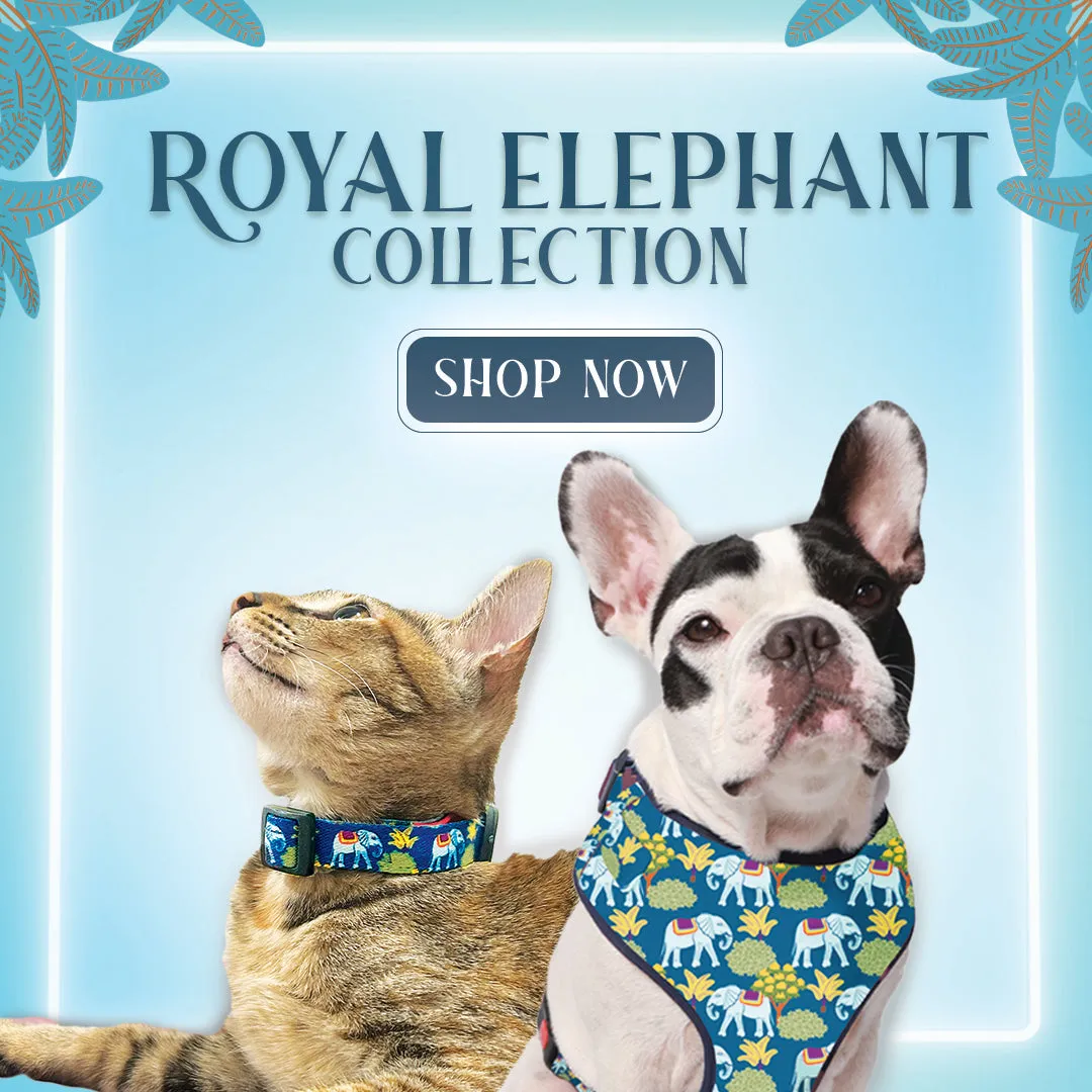 Jellyfish Ruff N' Tuff Harness For Dogs