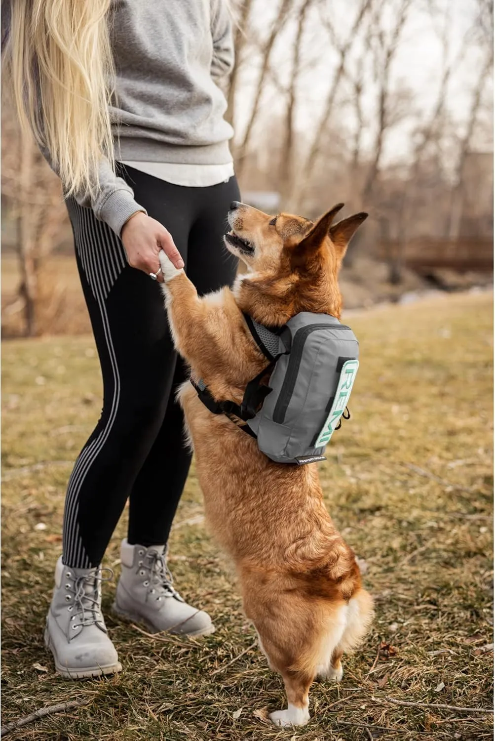 K9 Sport Sack Walk-On | Dog Carrier Dog Backpack with Harness & Storage (Medium, Shark Skin Gray)