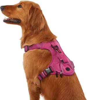 KONG Ultra Durable Waste Bag Harness (Large, Pink)