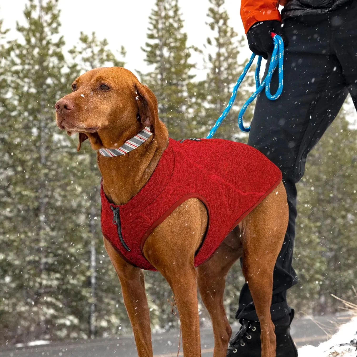 Kurgo Core Dog Sweater, Knit Dog Sweater with Fleece Lining, Cold Weather Pet Jacket, Zipper Opening for Harness, Adjustable Neck, Year-Round Sweater for Small Dogs (Heather Red, X-Small)
