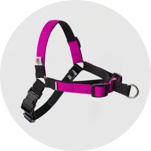 Linden No Pull Dog Harness